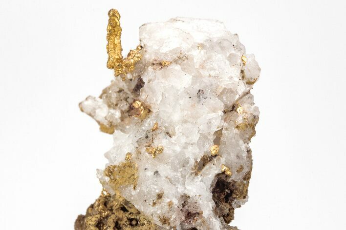 Native Gold Formation in Quartz - Morocco #213543